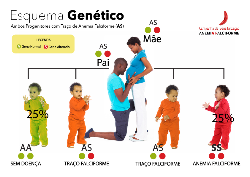 ANPAF - esquema genetico